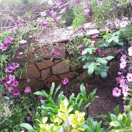 Drakopanagiotaki * Agios Andreas (Messenia)