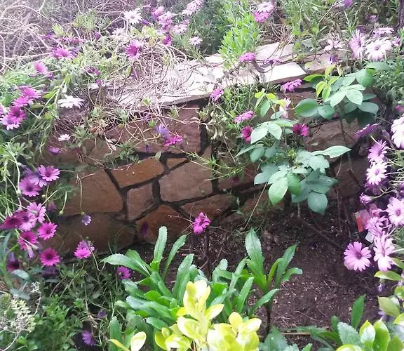 Drakopanagiotaki * Ájosz Andréasz